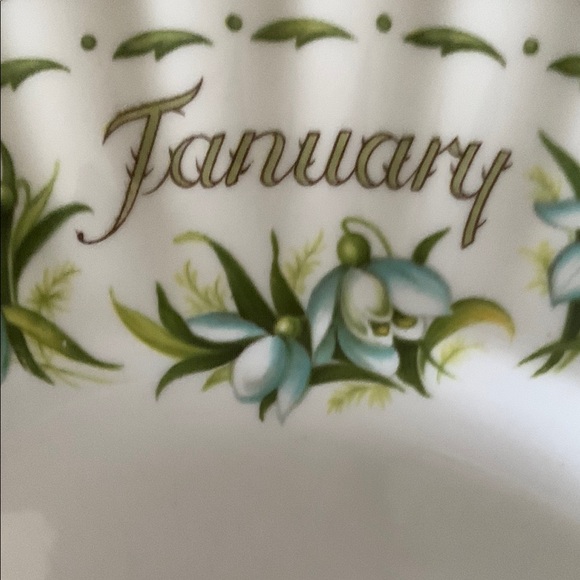 “January” Royal Albert Plate ❄️ - Picture 3 of 6